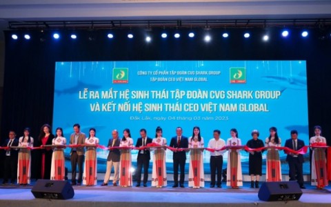 Ra mắt hệ sinh thái hỗ trợ hoạt động khởi nghiệp tỉnh Đắk Lắk